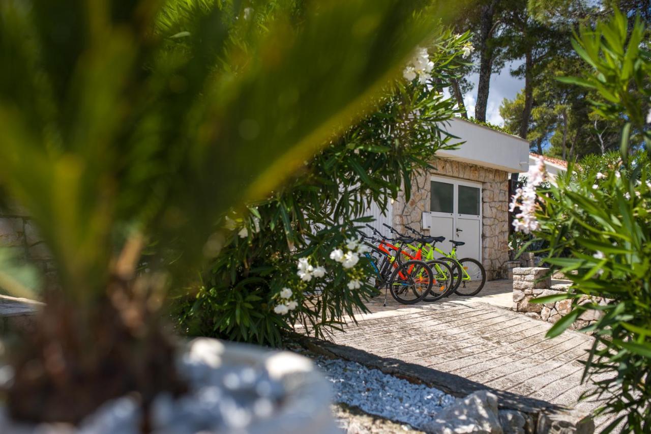 Apartament Dobronic